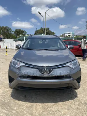 Toyota RAV4 LE 4dr SUV AWD (2.5L 4cyl 6A) 2015 Silver