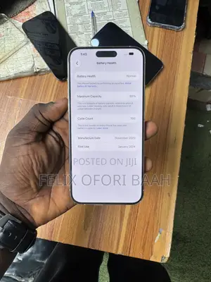 Apple iPhone 15 Pro Max 256 GB Gray
