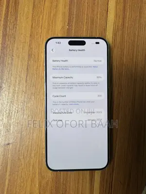 Apple iPhone 15 Pro Max 256 GB Gray
