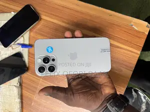 Apple iPhone 15 Pro Max 256 GB Gray