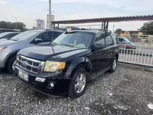Ford Escape Limited 4WD 2009 Black