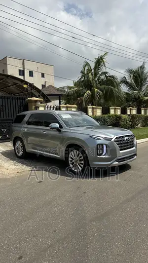 Hyundai Palisade 2019 Silver