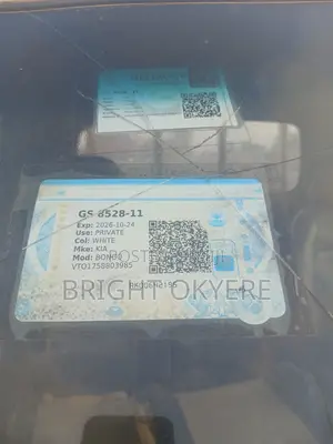 Kia Bongo III