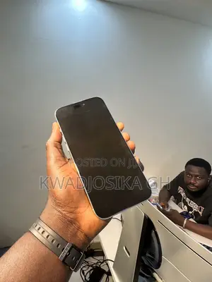 Apple iPhone 16 Pro Max 256 GB