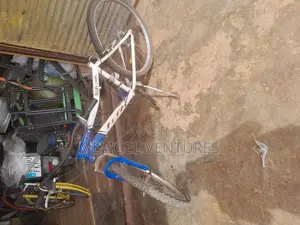 Newly Cleared Bicycles