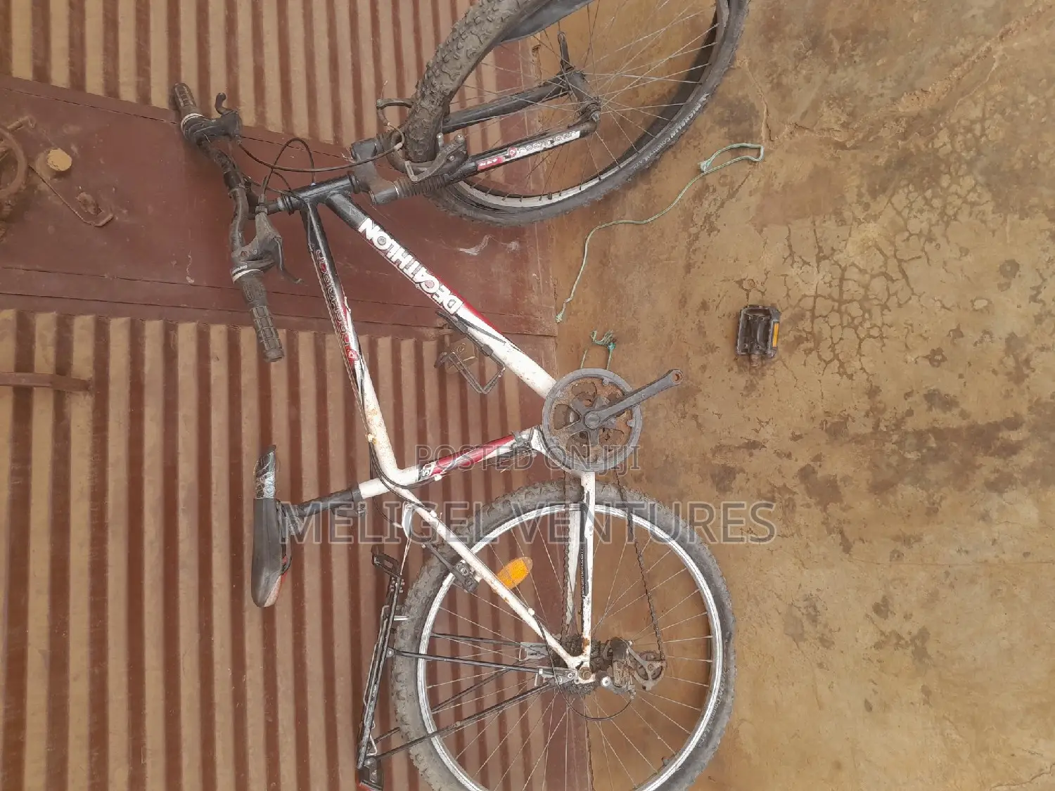Newly Cleared Bicycles
