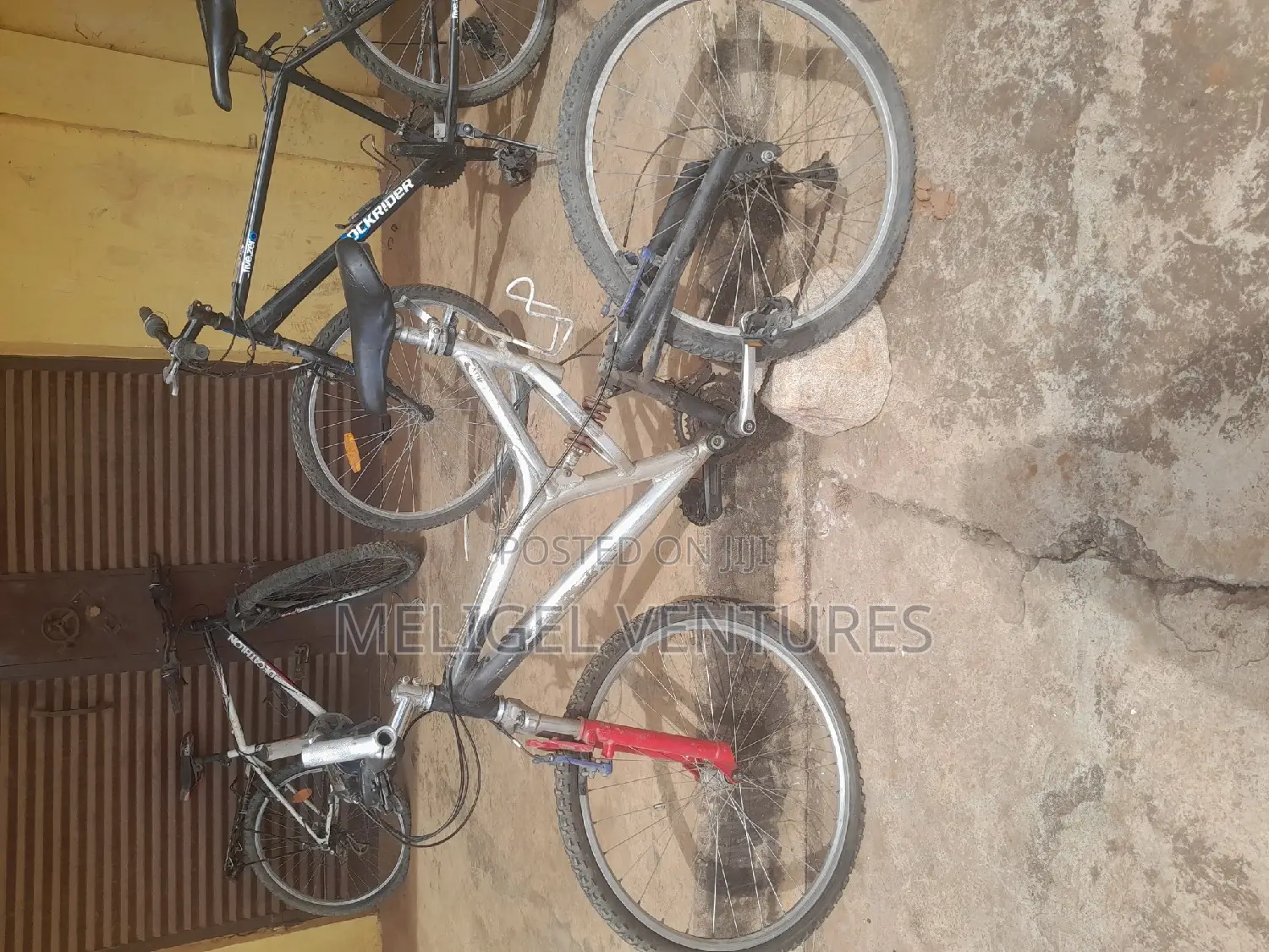 Newly Cleared Bicycles