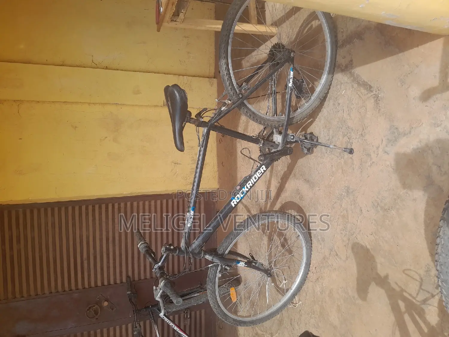 Newly Cleared Bicycles