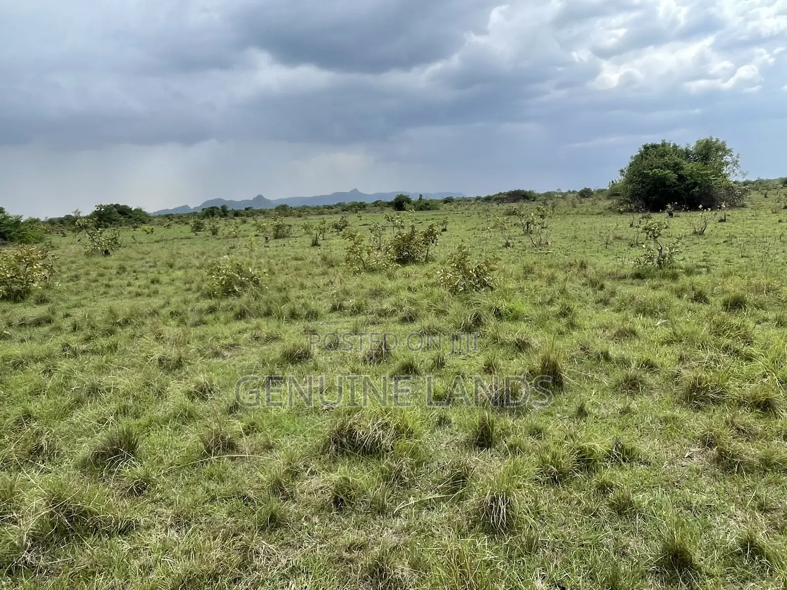 Invest in Shai Hills Lands, Wise Choice to Secure the Future