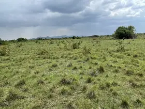 Invest in Shai Hills Lands, Wise Choice to Secure the Future