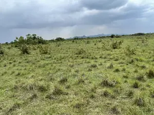 Invest in Shai Hills Lands, Wise Choice to Secure the Future
