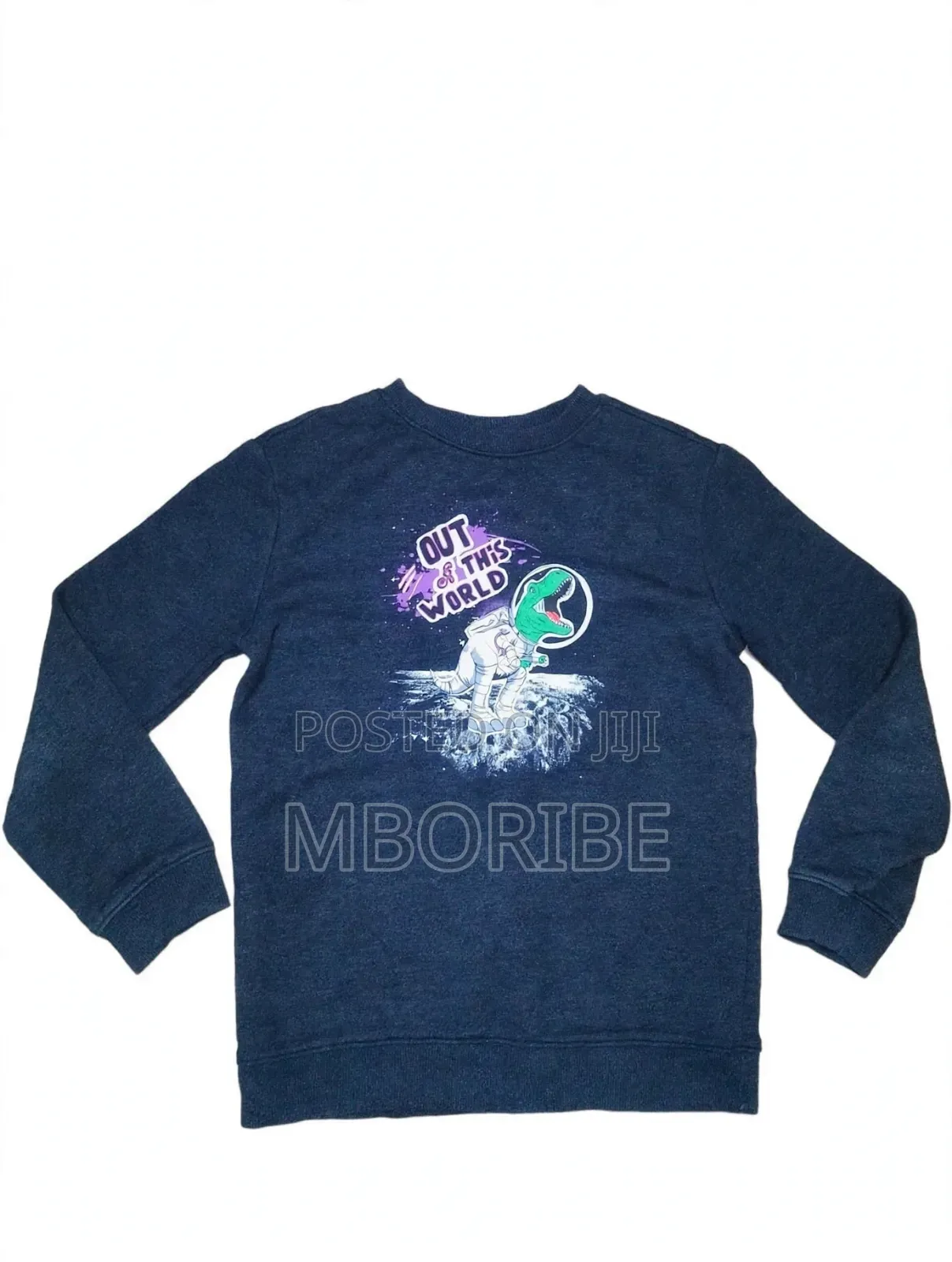 Kids Sweatshirt - Out of the World Dinasour - Age 5-7