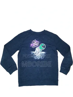 Kids Sweatshirt - Out of the World Dinasour - Age 5-7