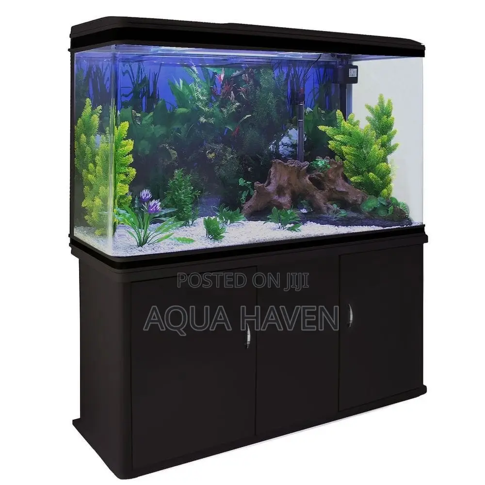 Cabinet Aquarium