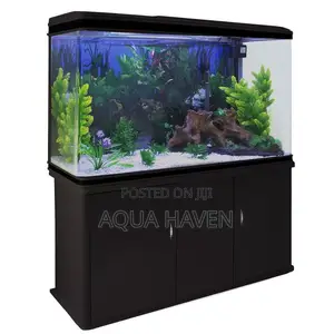 Cabinet Aquarium