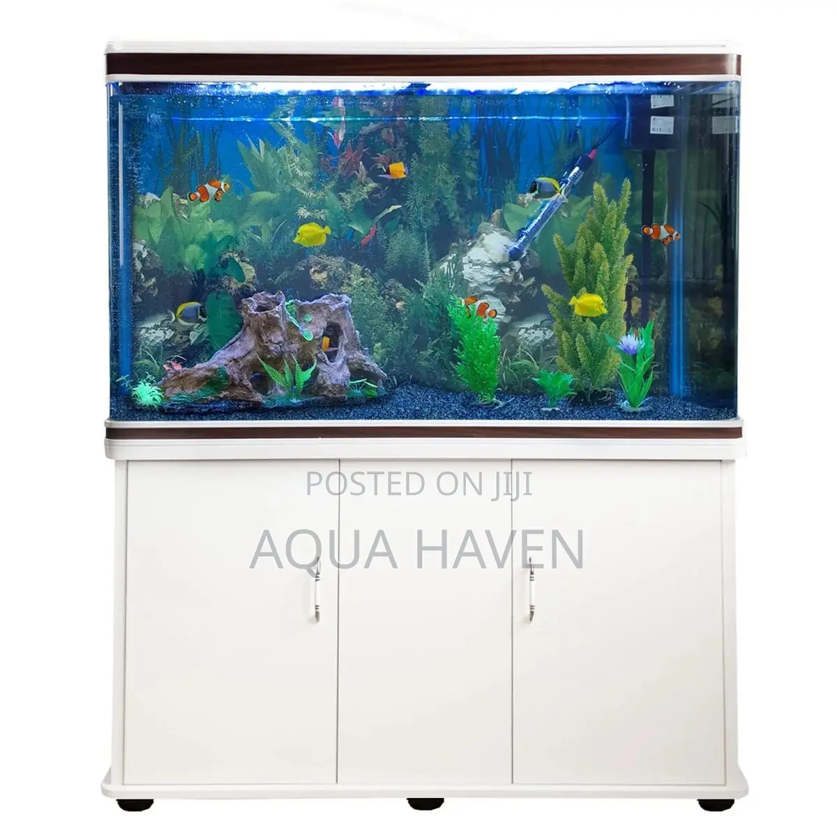 Cabinet Aquarium