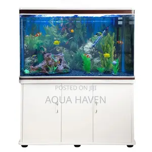 Cabinet Aquarium