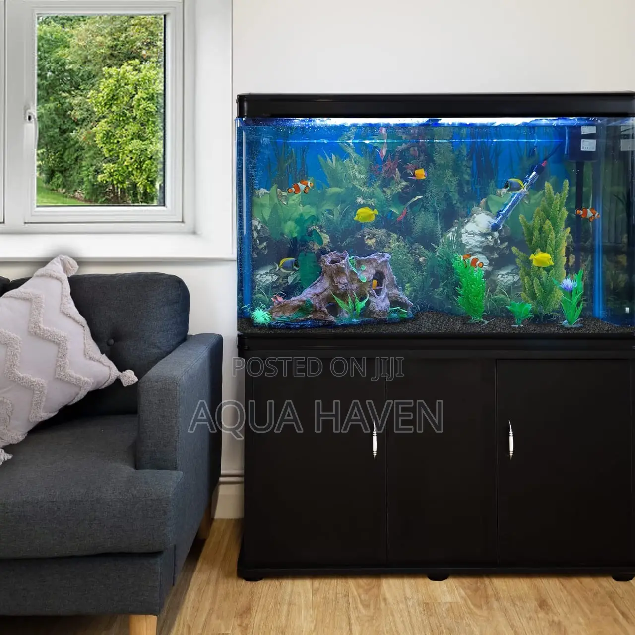 Cabinet Aquarium
