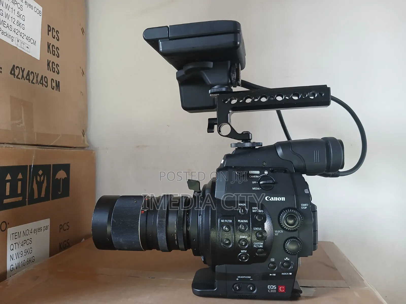 Canon C300 With Cinematic Lens