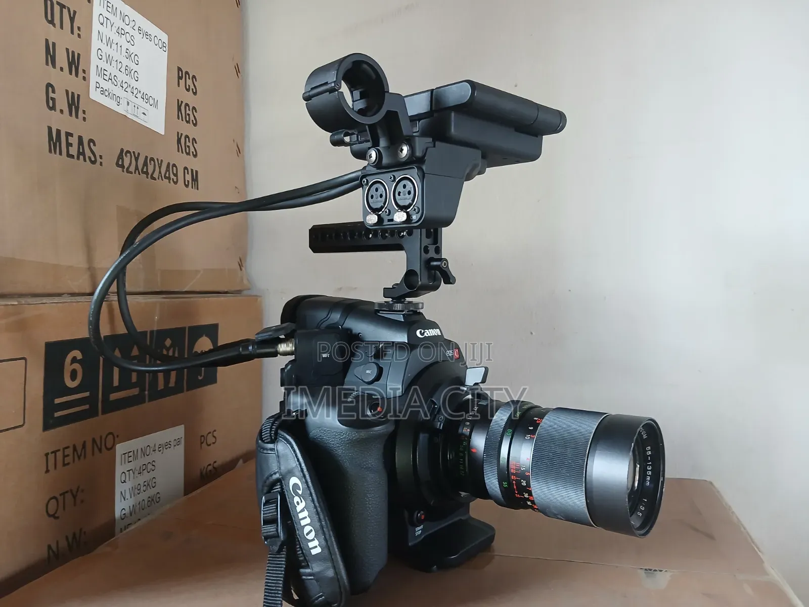 Canon C300 With Cinematic Lens