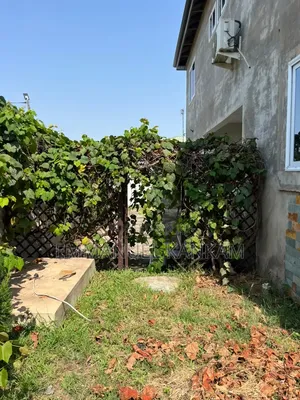 7bdrm House in Manet Junction for rent