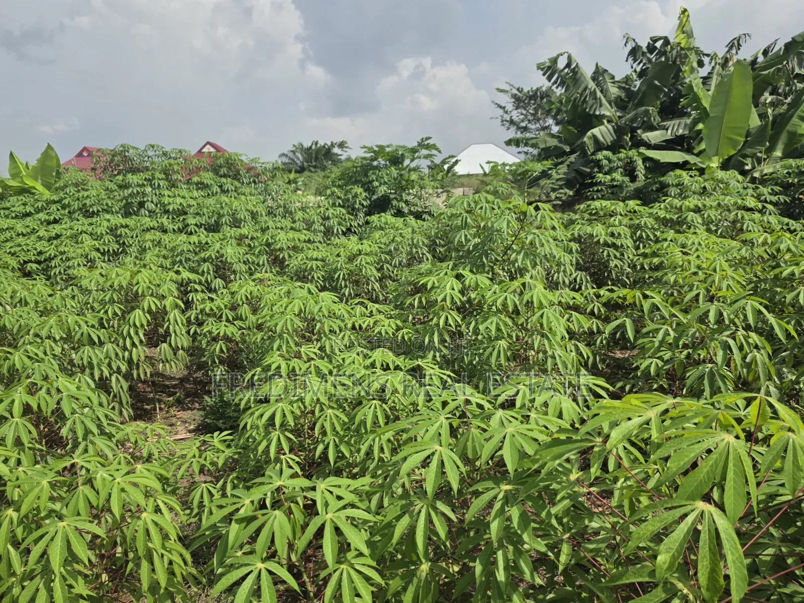 Land at Adubinsu-Biaa for Sale