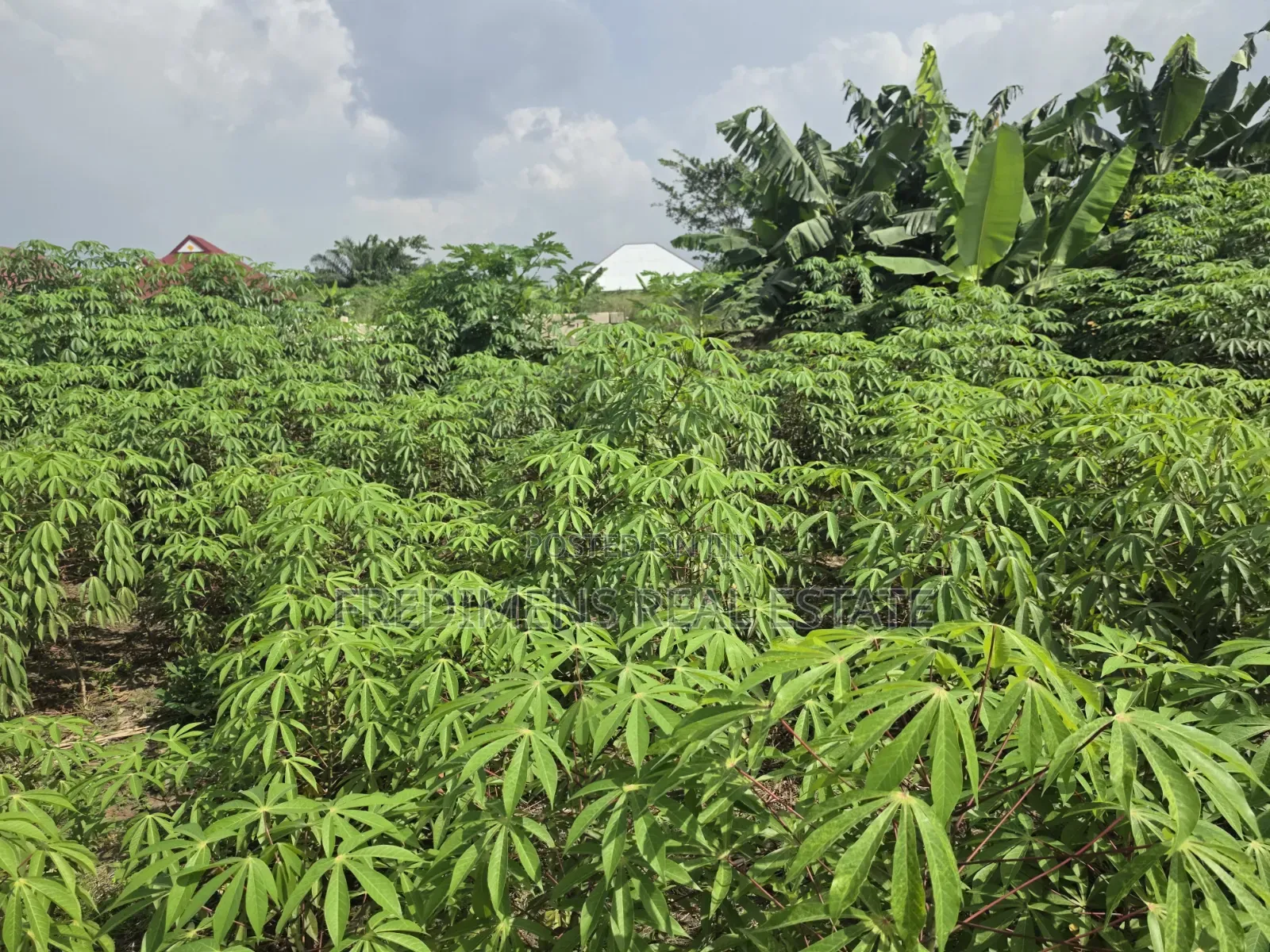 Land at Adubinsu-Biaa for Sale