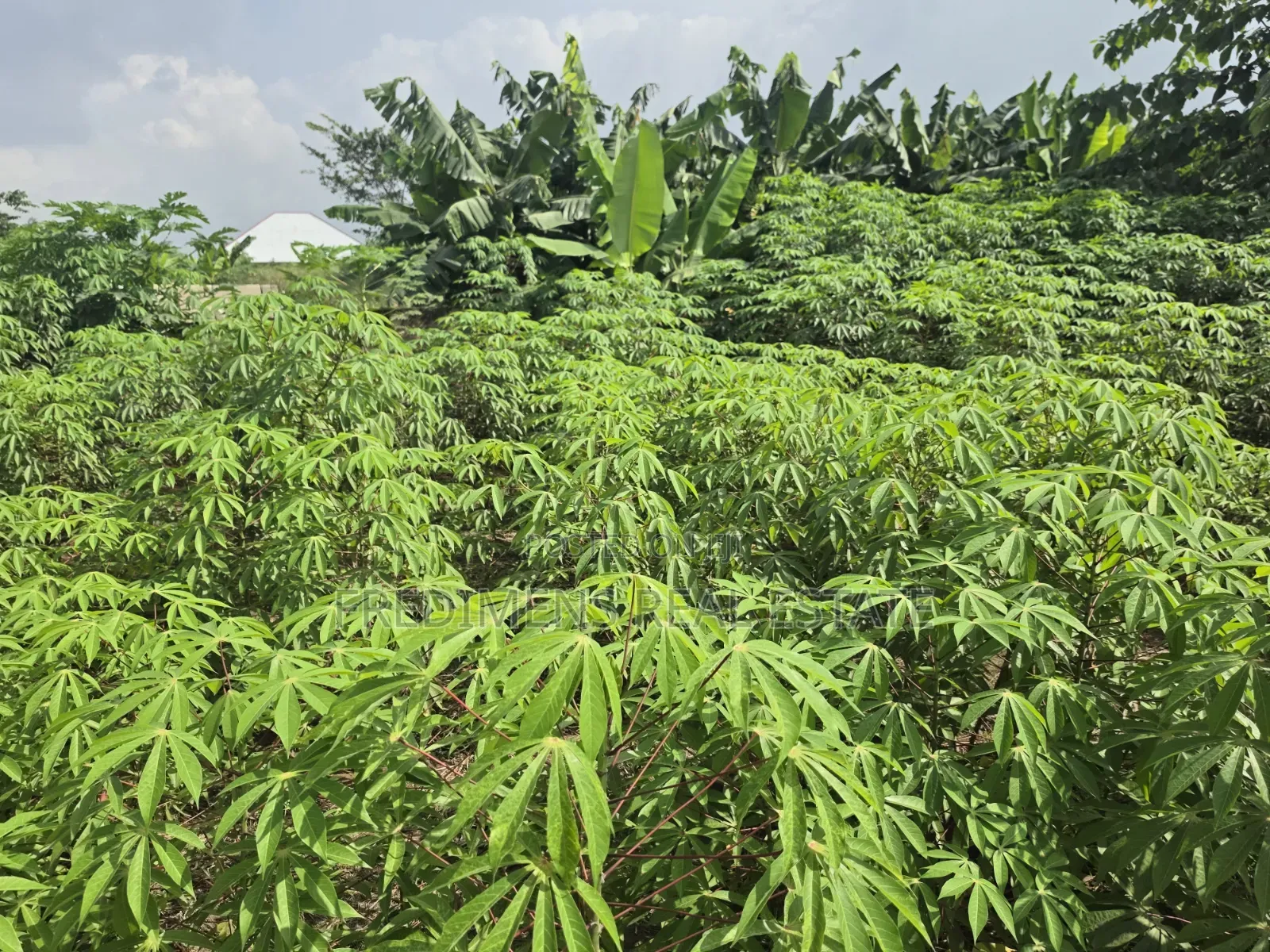 Land at Adubinsu-Biaa for Sale