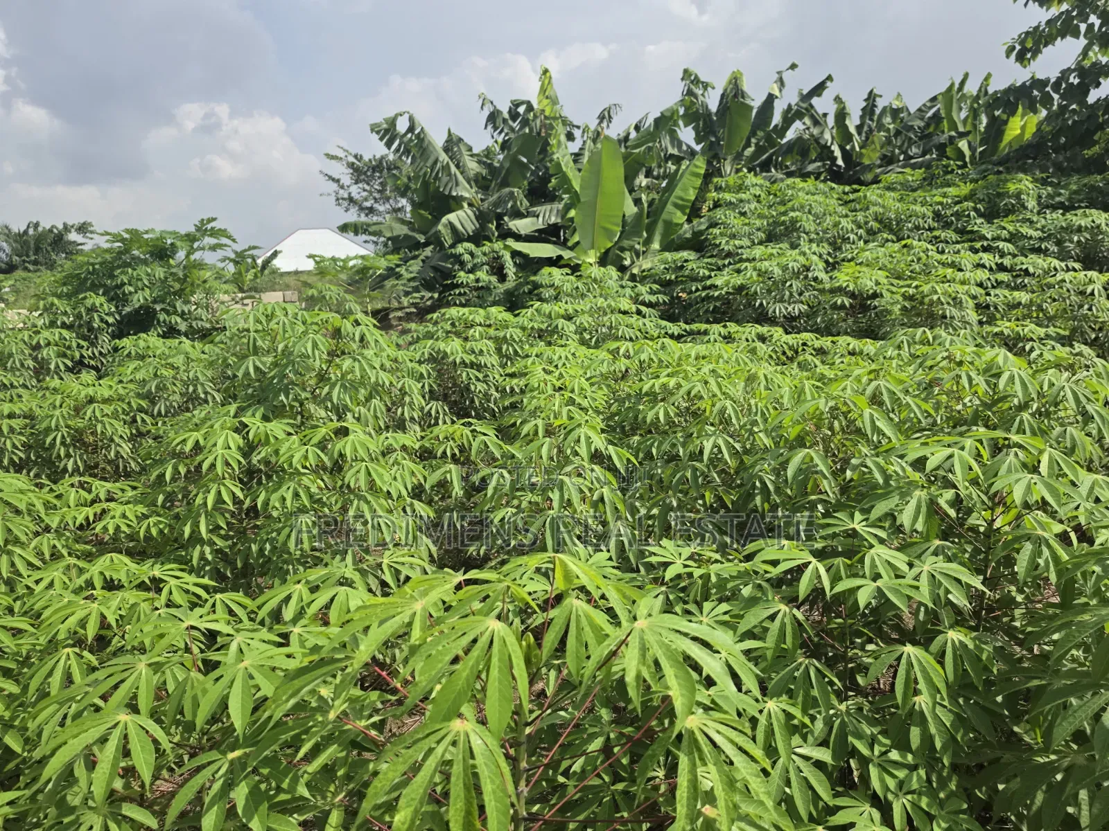 Land at Adubinsu-Biaa for Sale