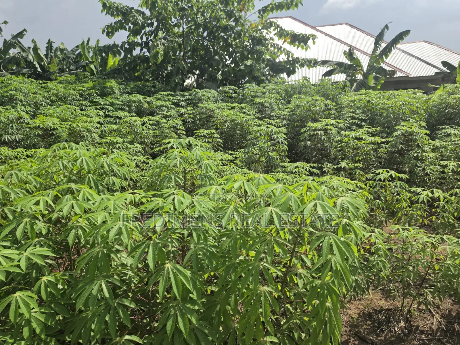 Land at Adubinsu-Biaa for Sale