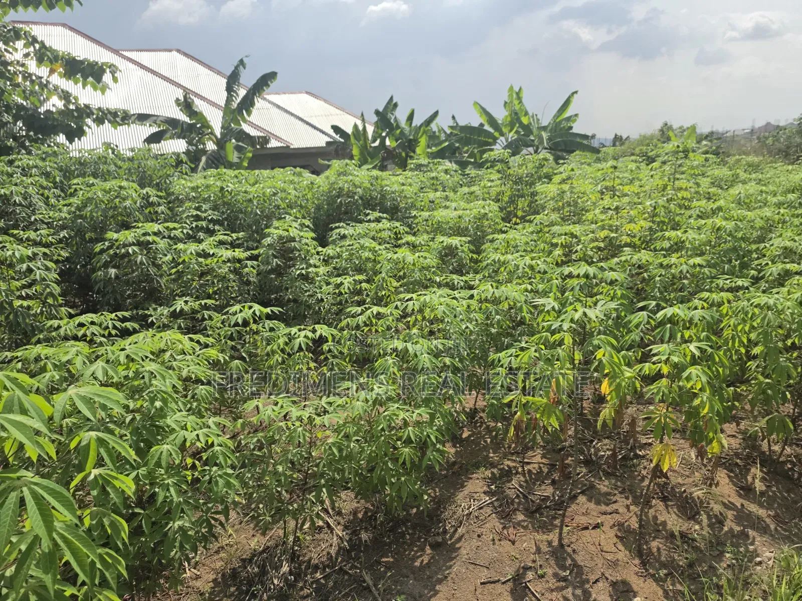 Land at Adubinsu-Biaa for Sale