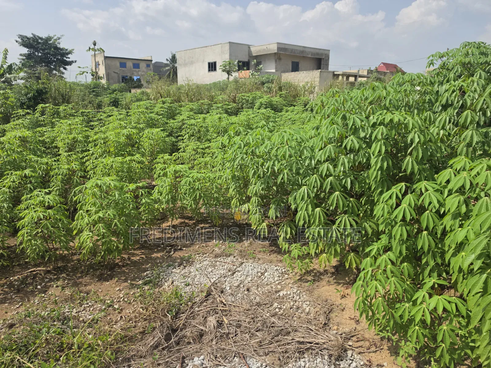 Land at Adubinsu-Biaa for Sale