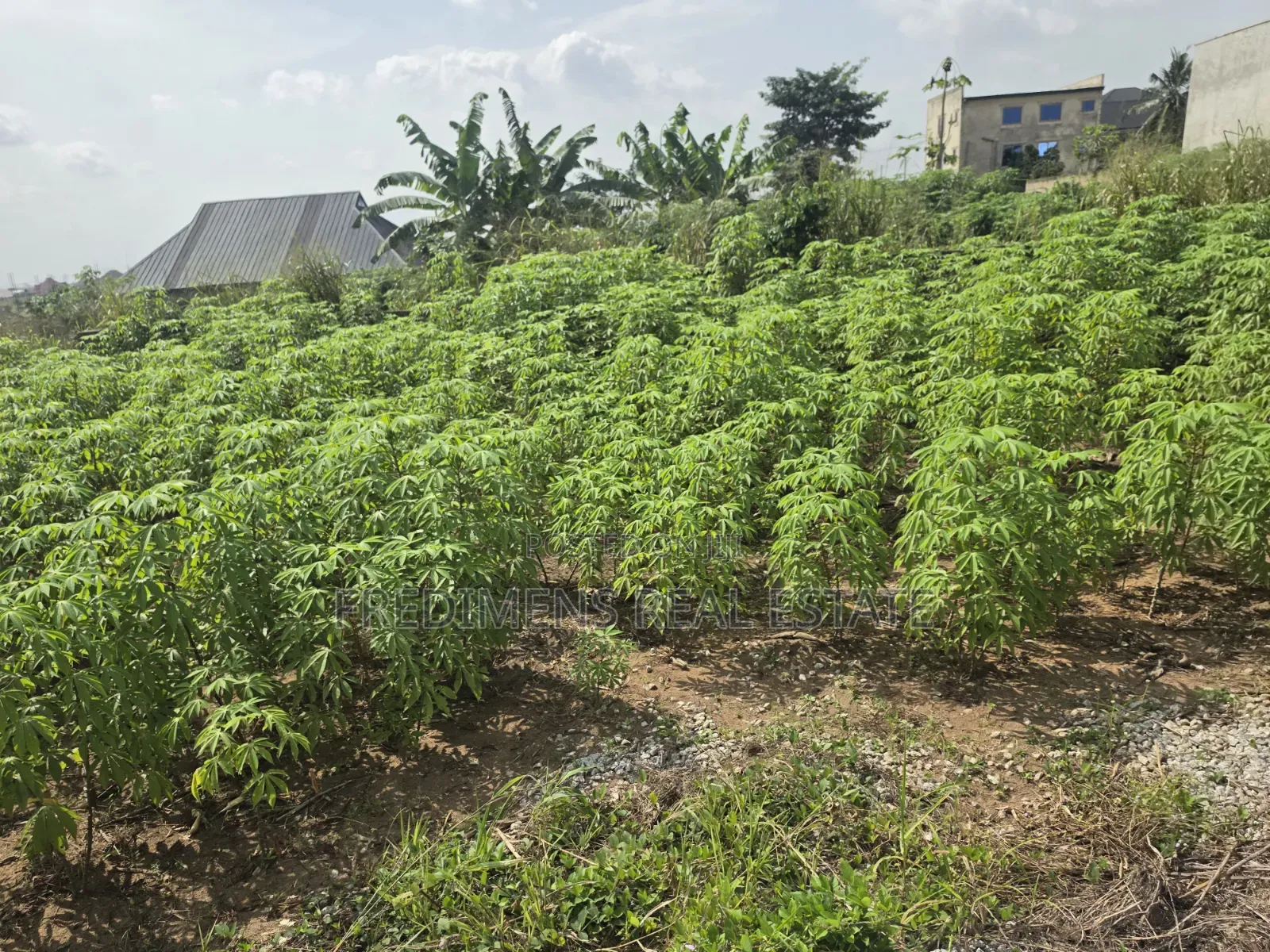 Land at Adubinsu-Biaa for Sale