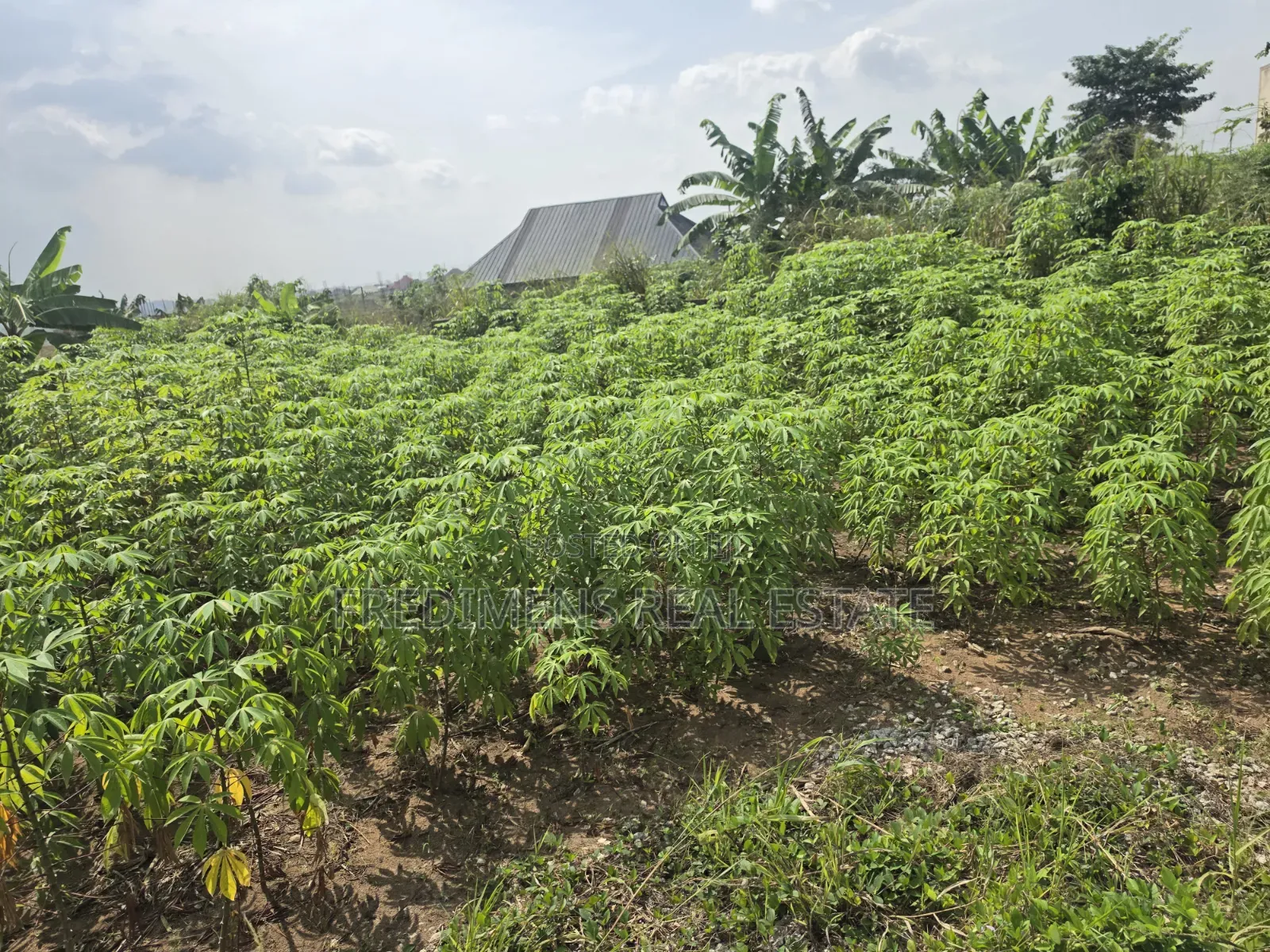 Land at Adubinsu-Biaa for Sale