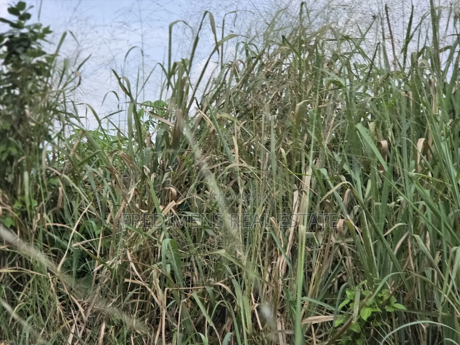 Land at Adubinsu-Biaa for Sale