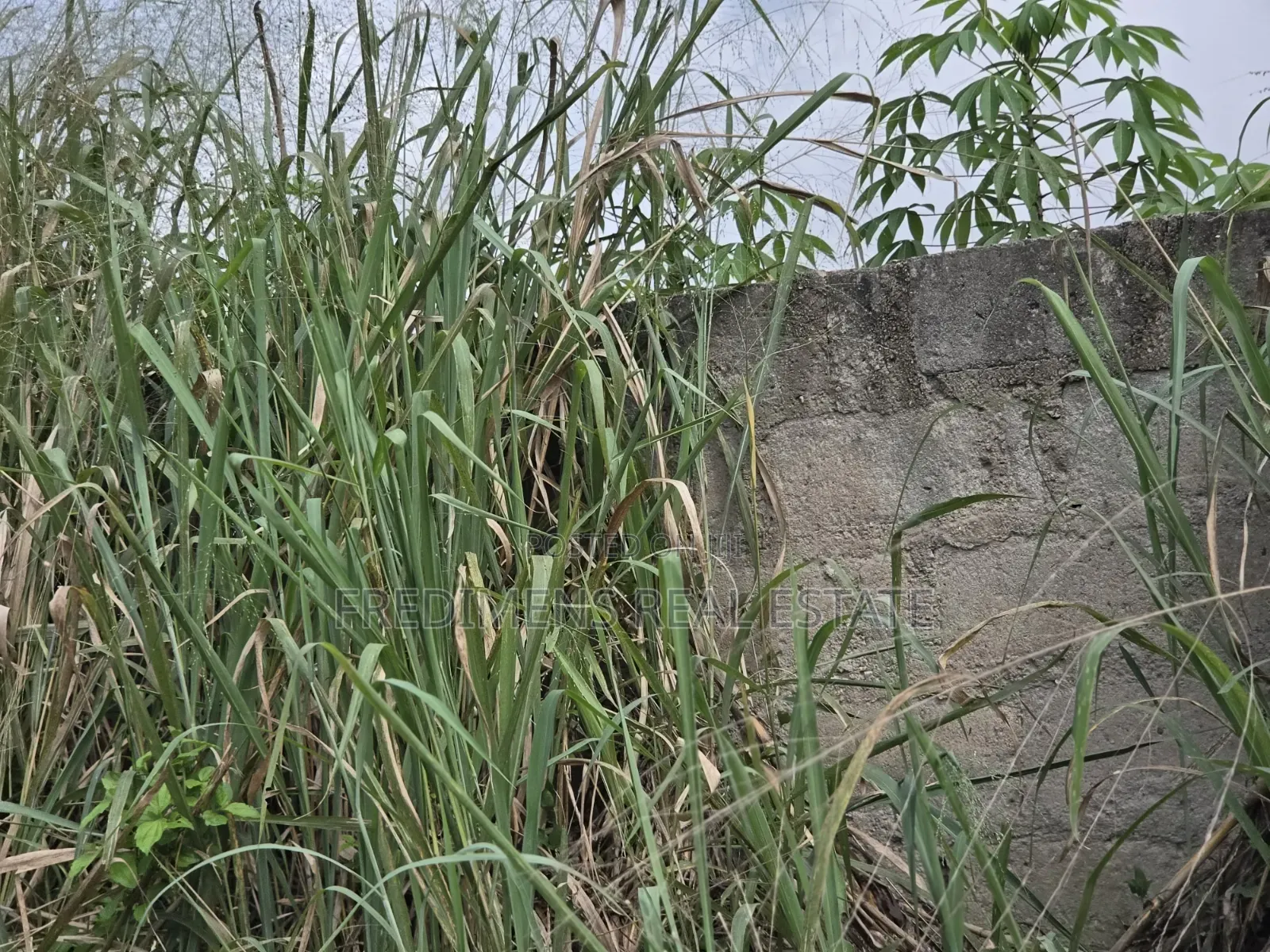 Land at Adubinsu-Biaa for Sale