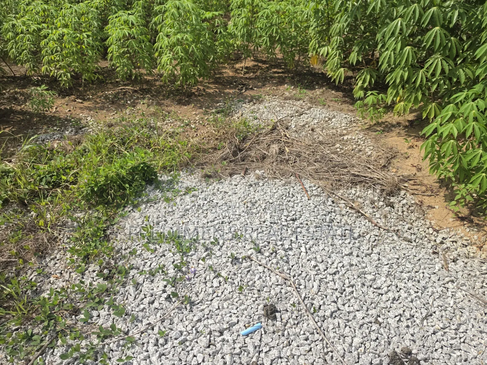Land at Adubinsu-Biaa for Sale