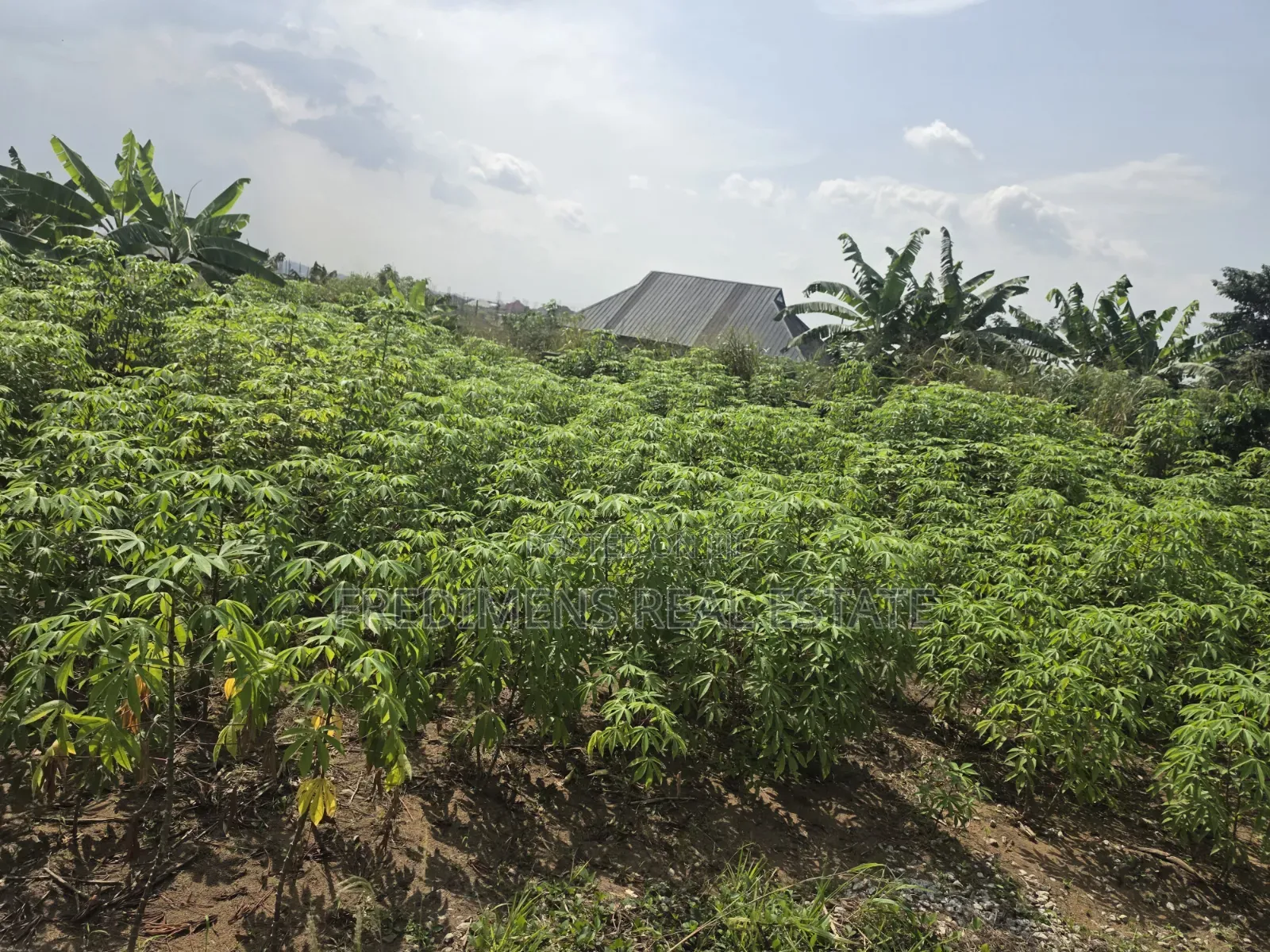 Land at Adubinsu-Biaa for Sale