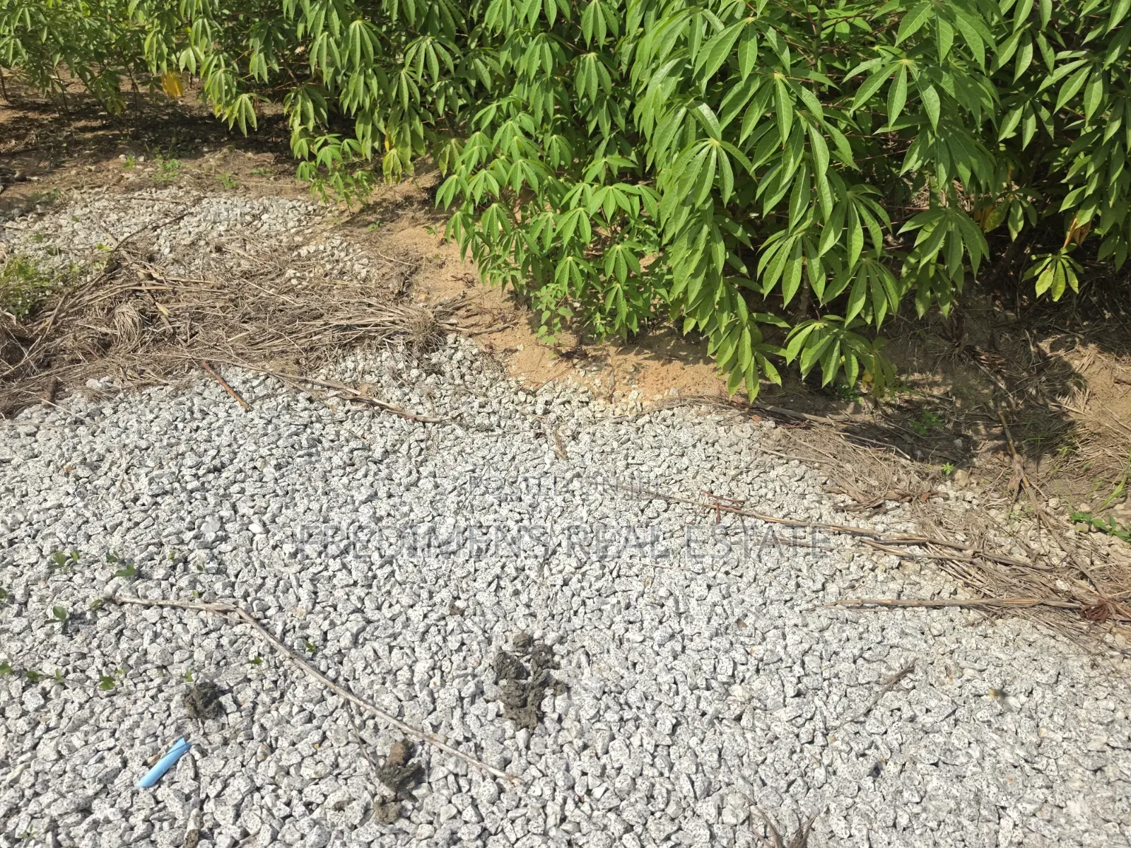Land at Adubinsu-Biaa for Sale