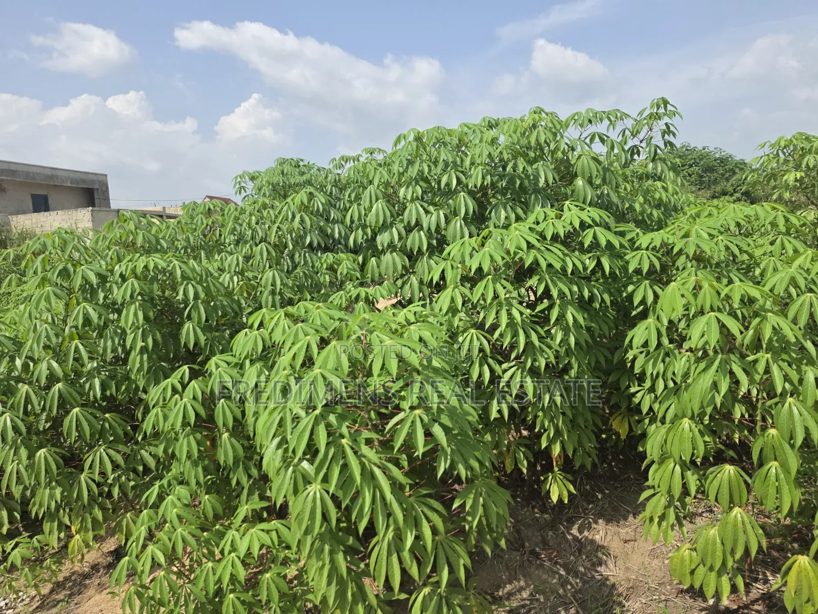 Land at Adubinsu-Biaa for Sale