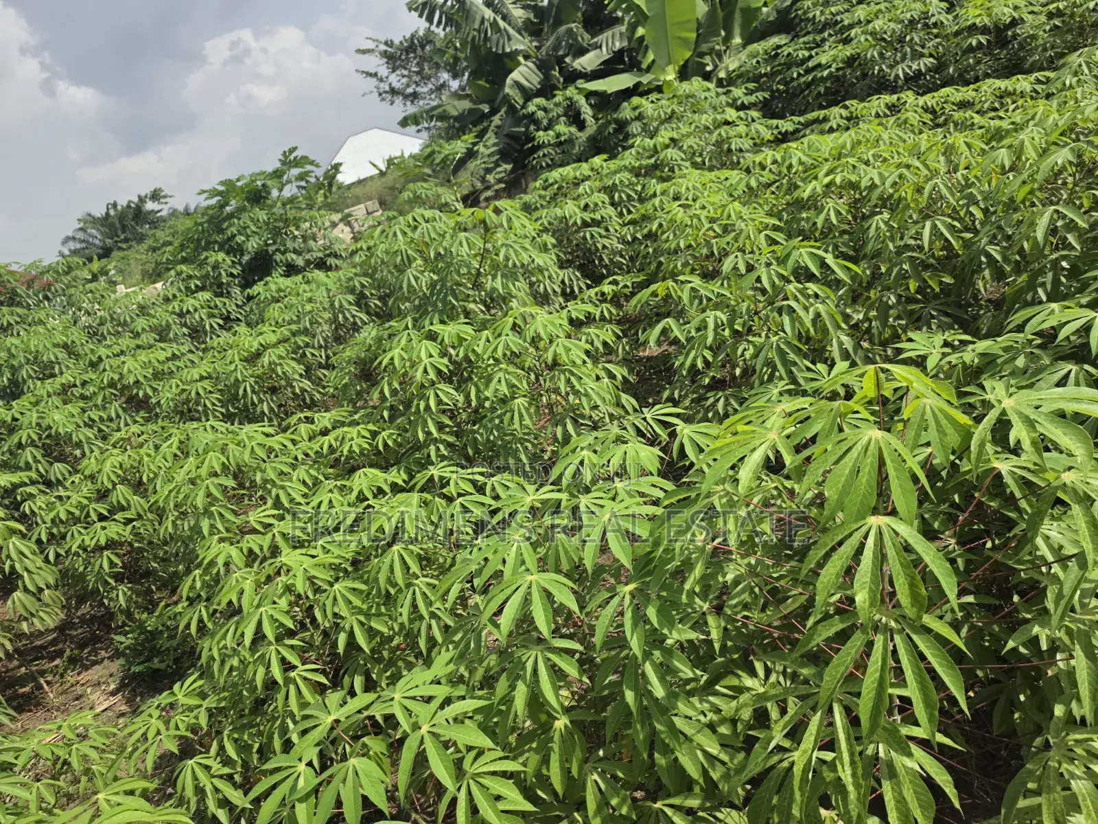 Land at Adubinsu-Biaa for Sale