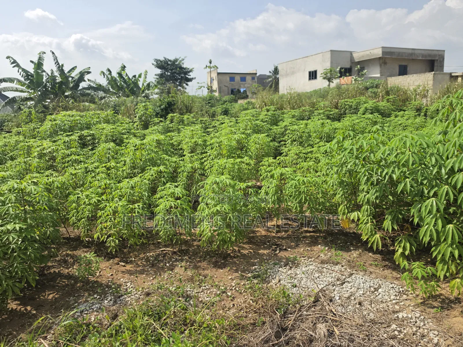 Land at Adubinsu-Biaa for Sale