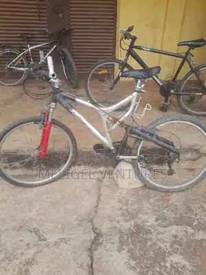 Newly Cleared Bicycles