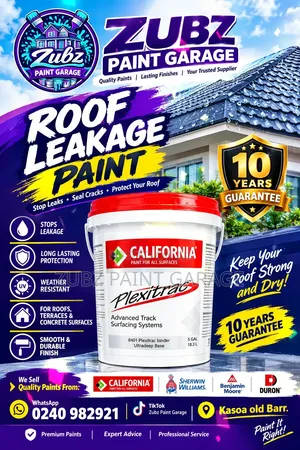 Roof Leakage Paint