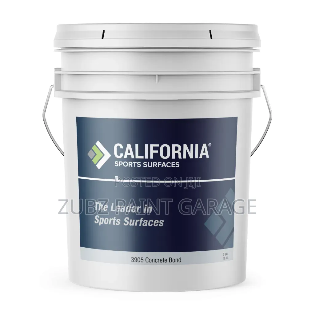 Roof Leakage Paint