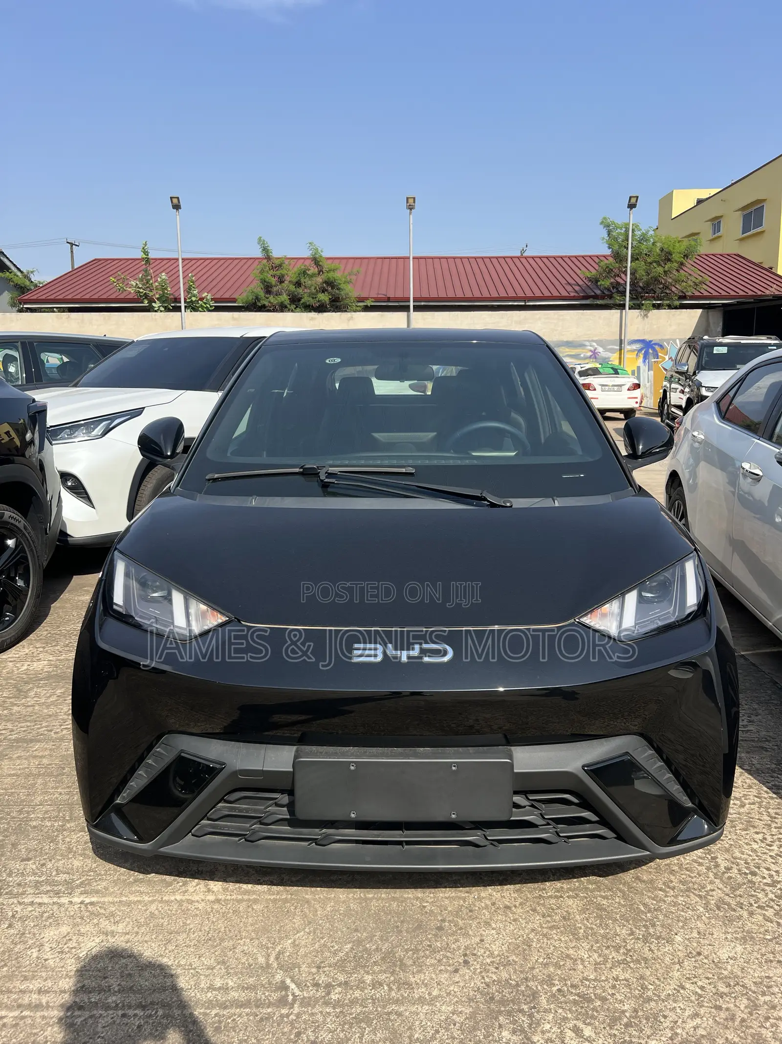 New BYD Seagull 2025 Black