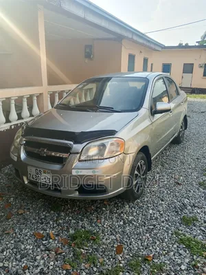 Chevrolet Aveo 2009 Silver