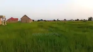 Land for Sale in Wamali Tamale