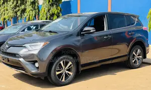 Toyota RAV4 XLE AWD (2.5L 4cyl 6A) 2017 Gray