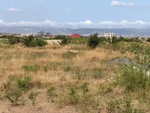 Titled Land at Afienya Tor Estate (Residential or Investment)
